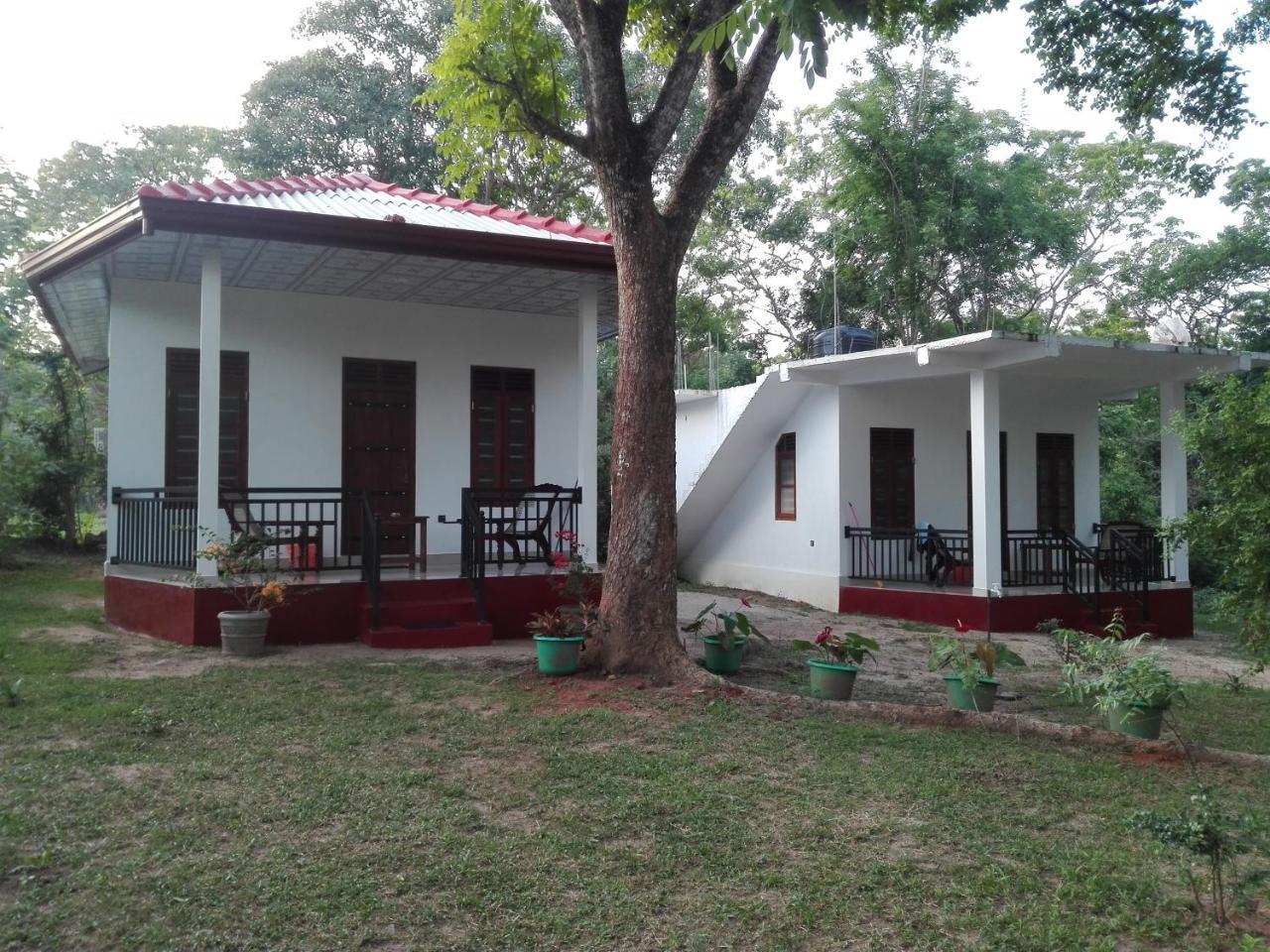 Calm Garden Cabanas Tangalle Bagian luar foto